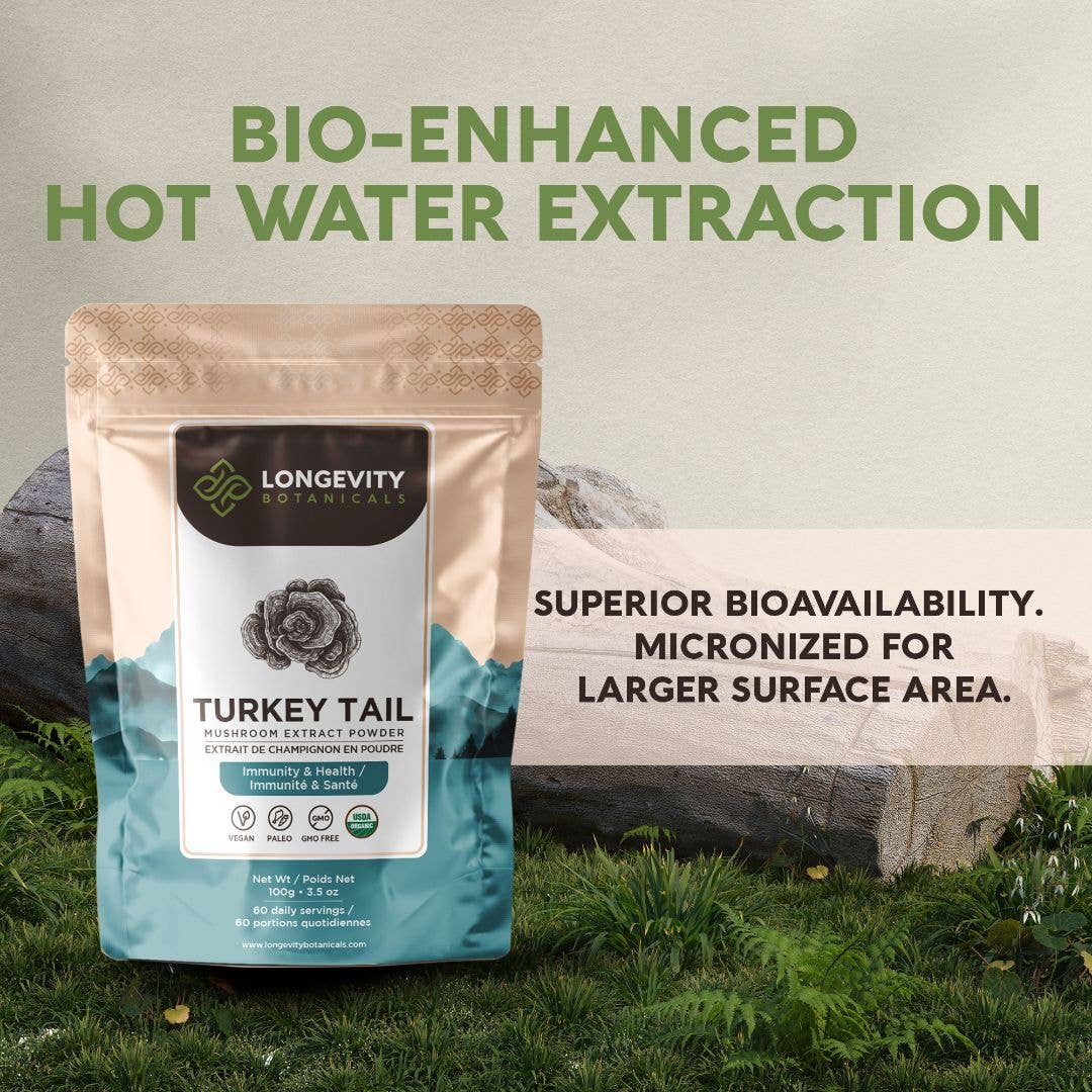 Longevity Botanicals - Organic Turkey Tail Mushroom Extract Powder 100g - Image 7